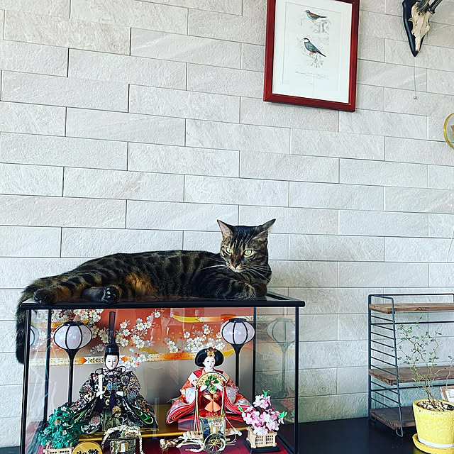 Risaさんの実例写真