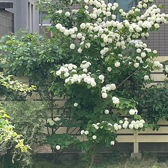 cheeさんの部屋
