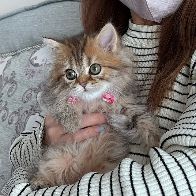miyu39さんの部屋