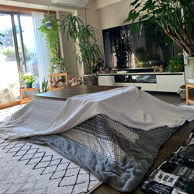 Aqettyさんの実例写真