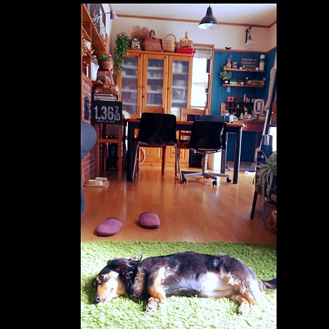 minaさんの実例写真