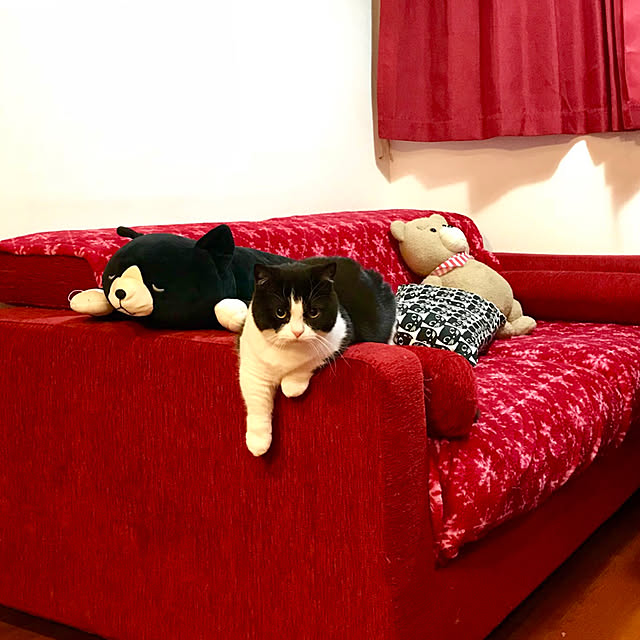 butachanさんの実例写真