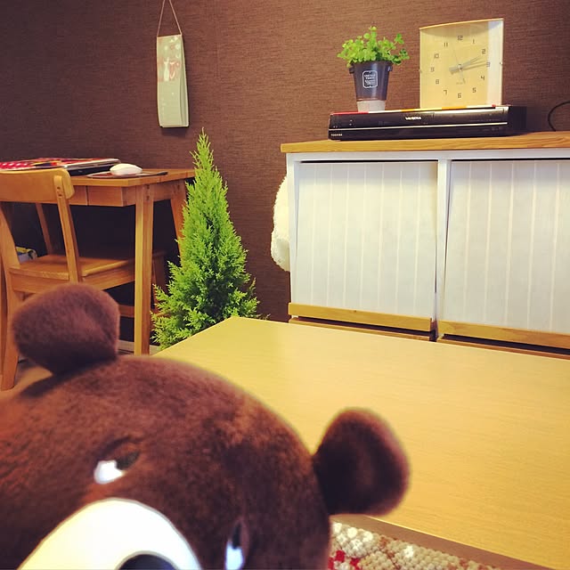 リビング/観葉植物/一人暮らし/ナチュラルのインテリア実例 - 2016-01-10 14:25:08