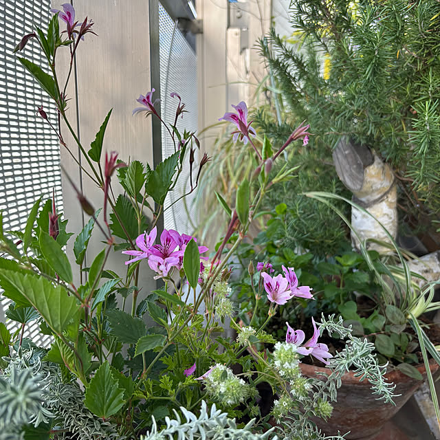 hannaさんの部屋
