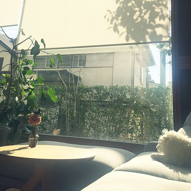 kuuさんの実例写真