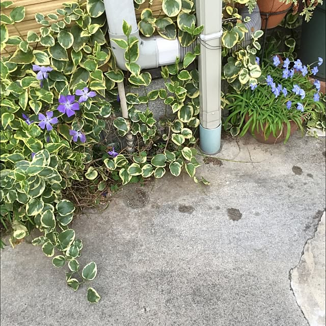 sanaさんの実例写真