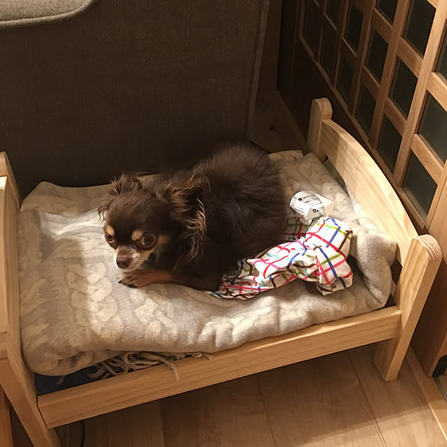 Sasaki Anaさんの実例写真
