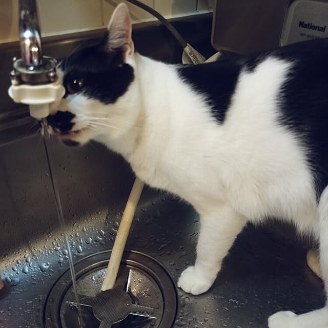 fu-ka24さんの実例写真