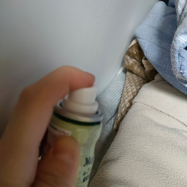 saoさんの実例写真
