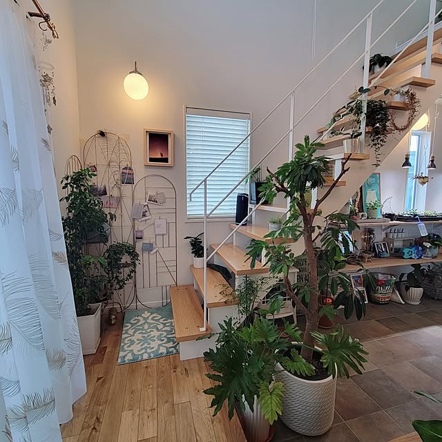 nonbiri_house_さんの実例写真