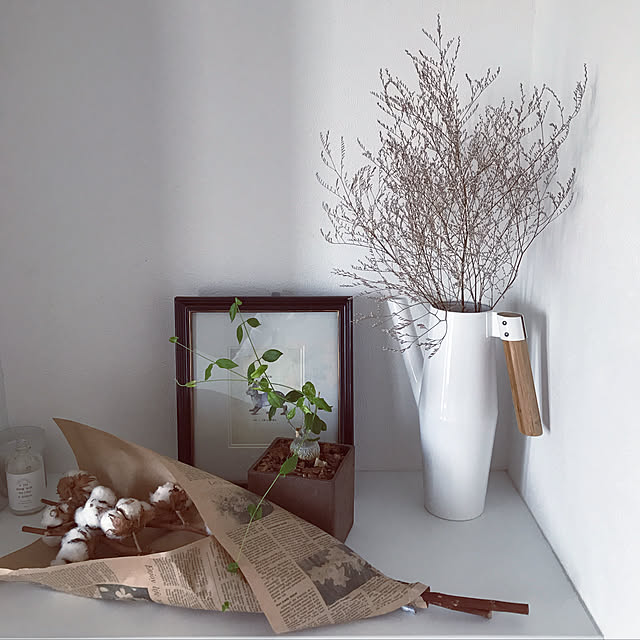 玄関/入り口/観葉植物/IKEAのインテリア実例 - 2017-09-02 16:23:54