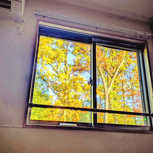 araigumaさんの部屋