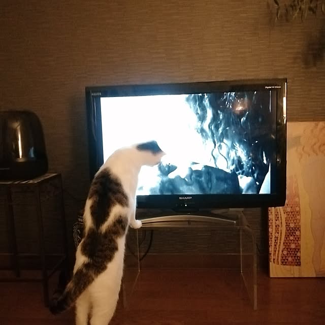 nahocさんの部屋