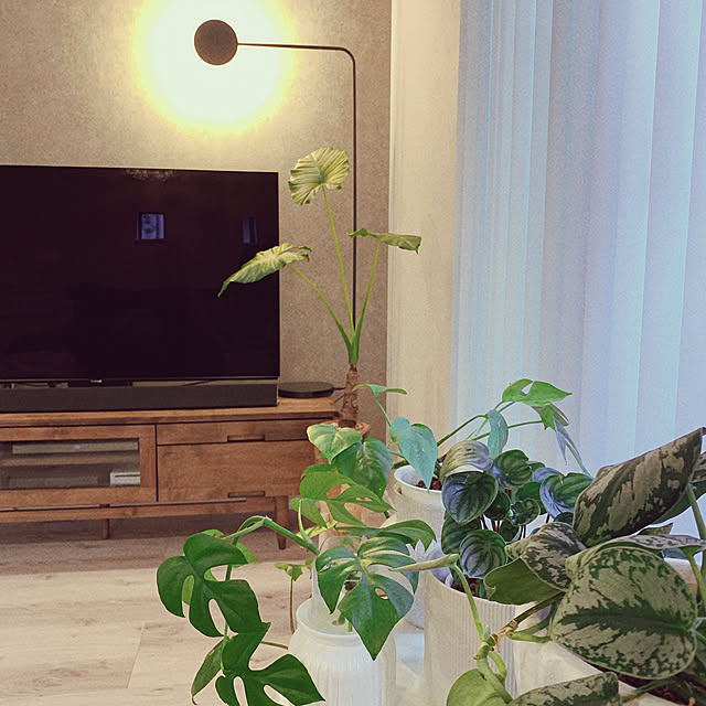cocoさんの部屋