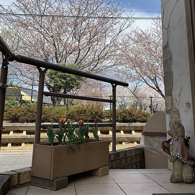 tabasaさんの実例写真