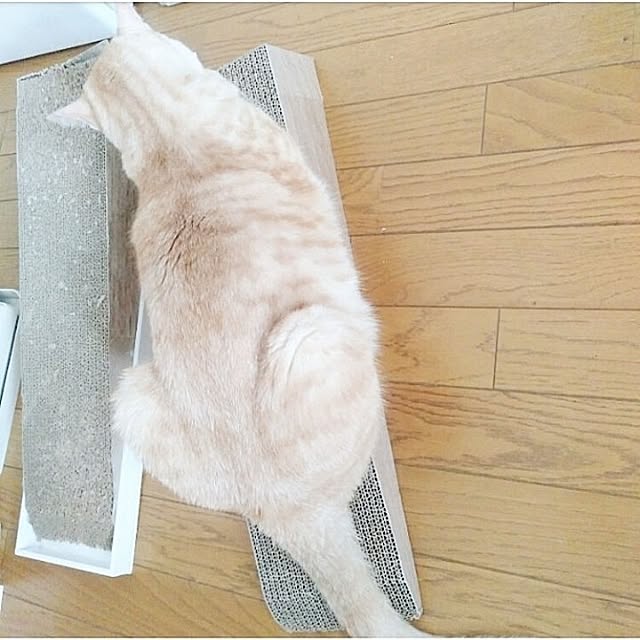 heart.emiemi57.whiteさんの部屋