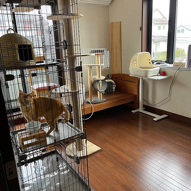 kikiさんの部屋