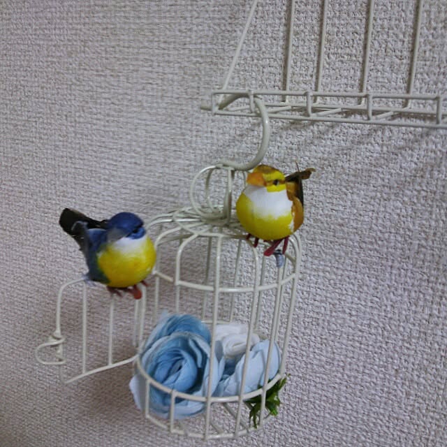 izumiさんの実例写真
