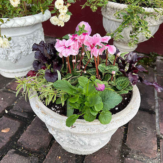 AYUKOさんの実例写真