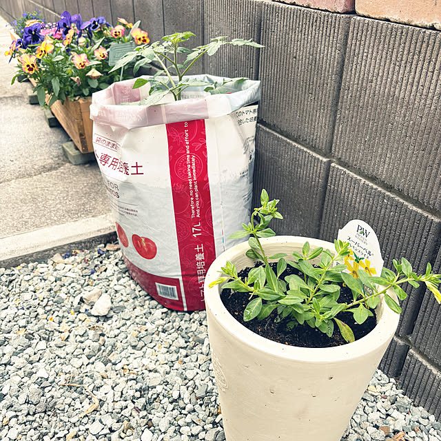 mhomemさんの部屋