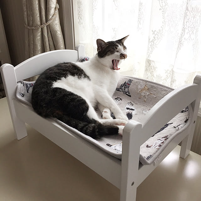 yuchiさんの実例写真