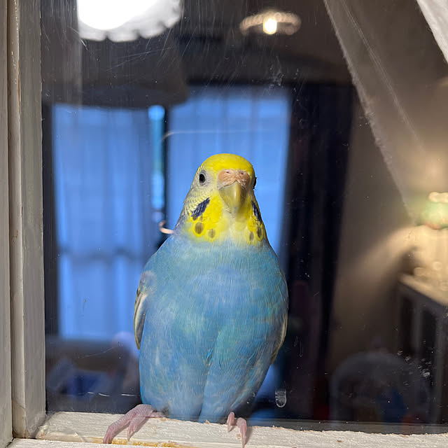 Atsukoさんの部屋
