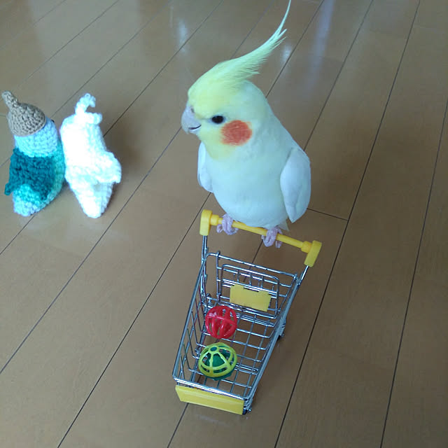 toratanさんの実例写真