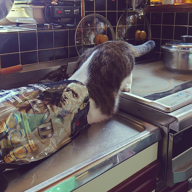 kikuさんの実例写真