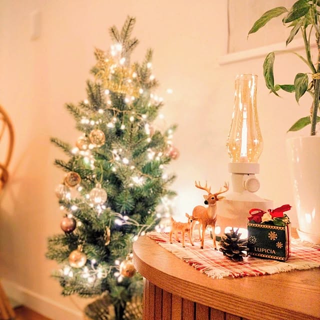 .Haさんの実例写真