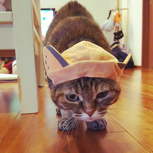 Y.Gさんの実例写真