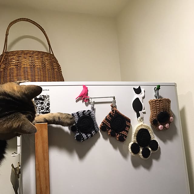 mikomaruさんの実例写真
