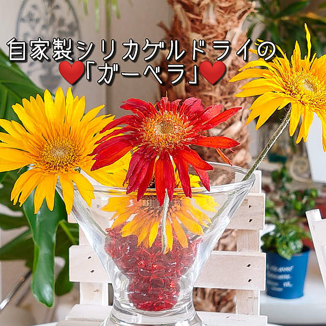 ami.majoさんの実例写真