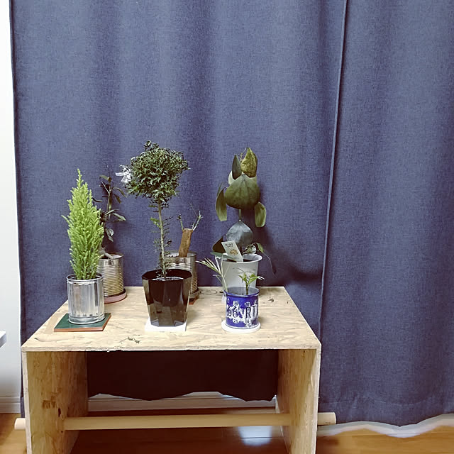 bambiさんの実例写真