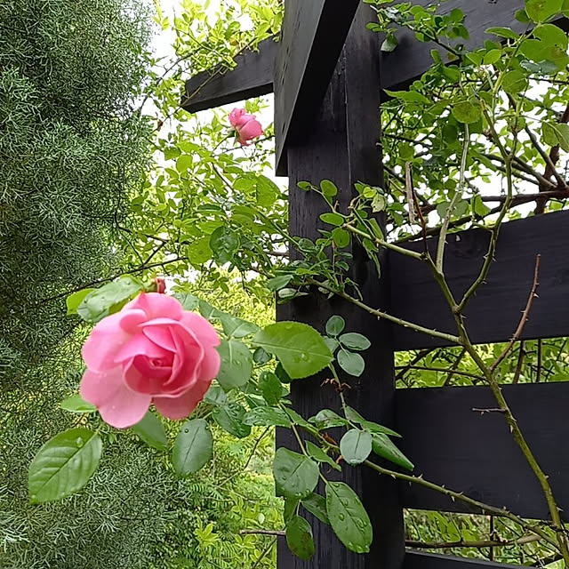 nscraftworksさんの実例写真