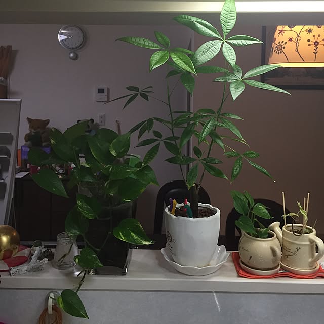 mintさんの実例写真