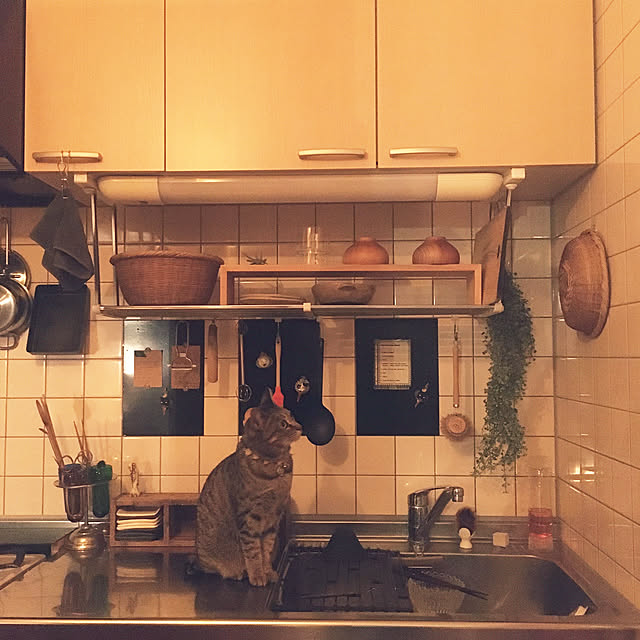 Mさんの実例写真
