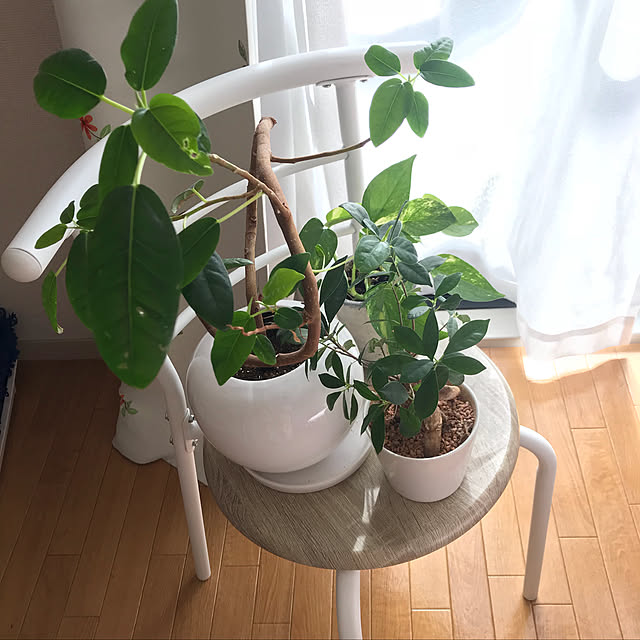 ベッド周り/観葉植物/ナチュラル/無印良品/一人暮らし...などのインテリア実例 - 2018-03-11 13:41:47