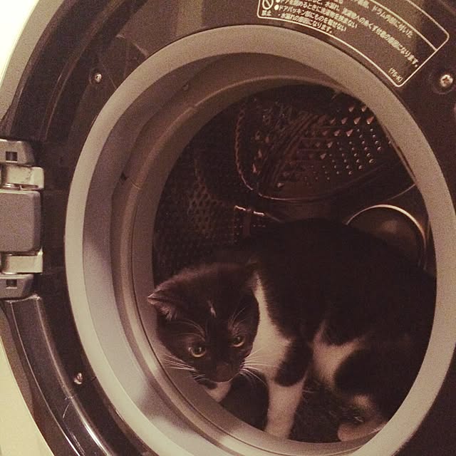taeさんの実例写真