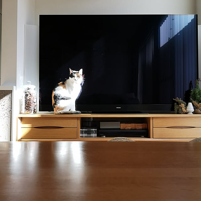 koyurizuさんの実例写真