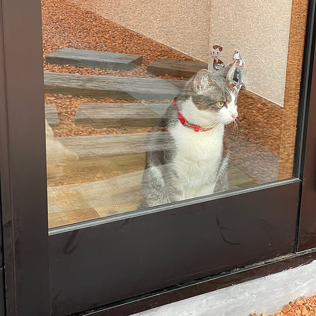 nekosamaさんの部屋