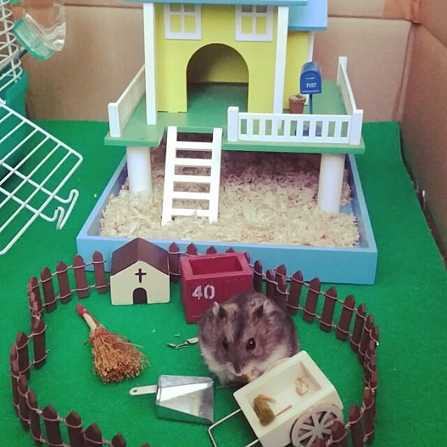 Samさんの実例写真