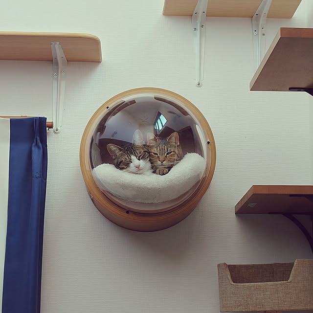 mochicoさんの実例写真