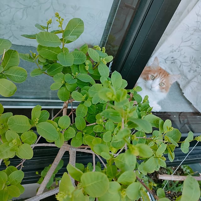 mori_6_12さんの実例写真