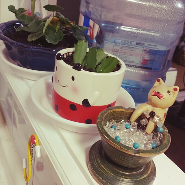 ye-cchi8114さんの実例写真