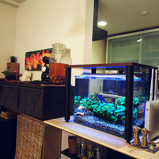 anago106さんの実例写真