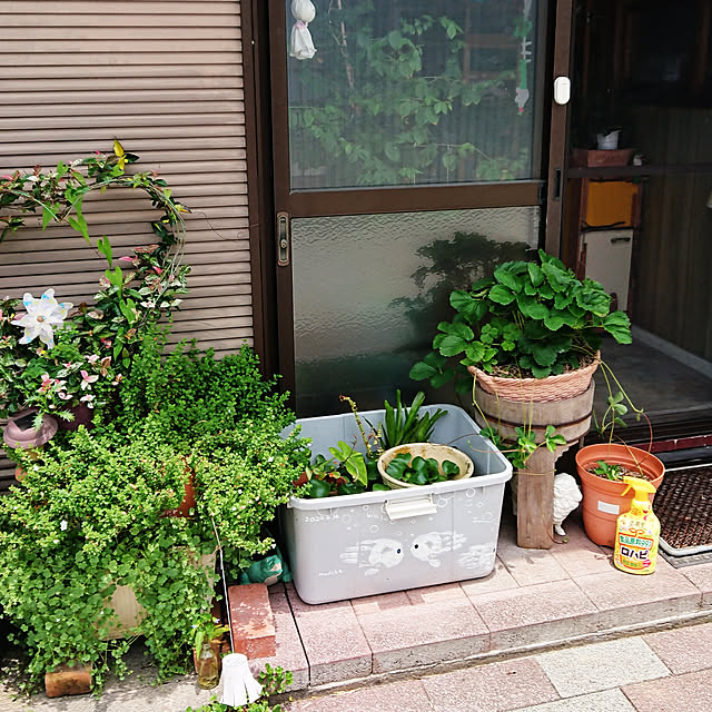 kikuさんの実例写真