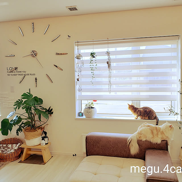 megu.catさんの実例写真