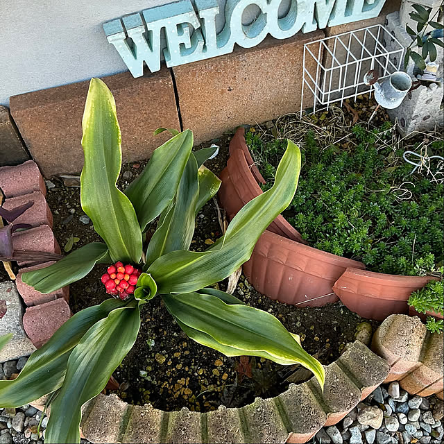 chiiyanさんのお部屋の写真