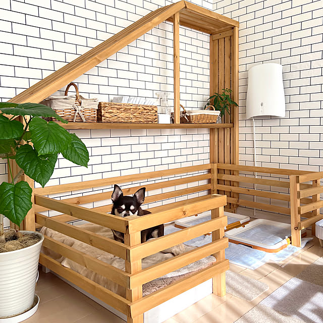 yumimaruさんの部屋