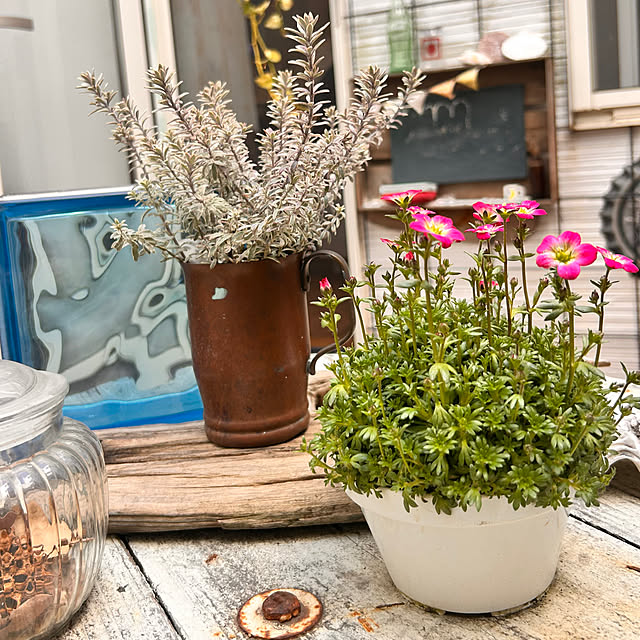 Yukoさんの実例写真